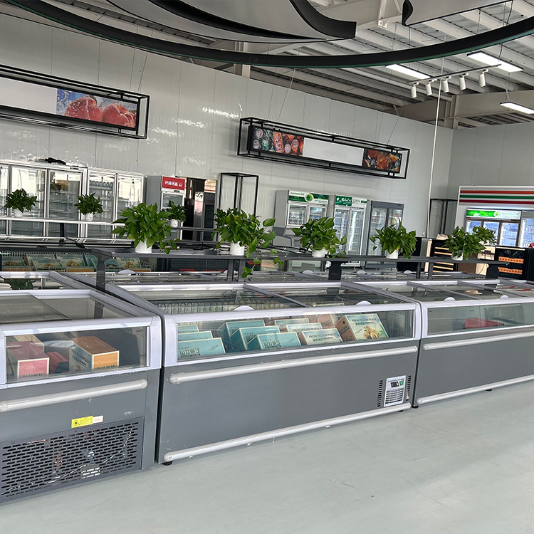 Commerciële borstdiepvriezer m - Commercial Chest Freezer recensie en prijs