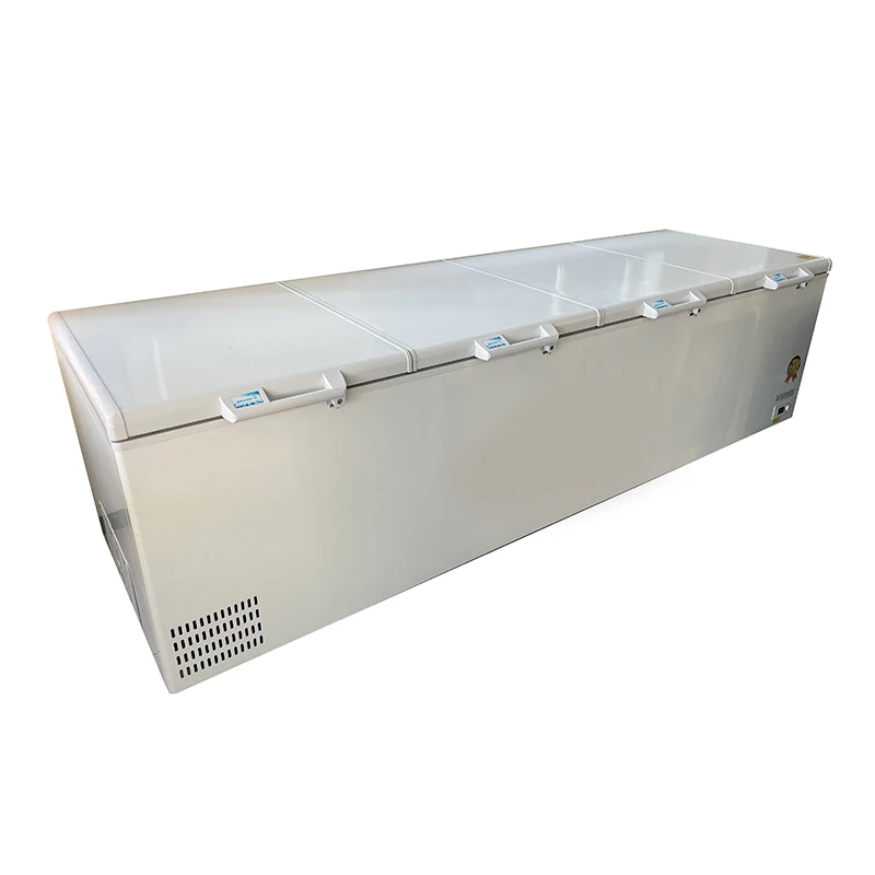 # Fabriek Hot Sale 1300l comme - Commercial Chest Freezer recensie en prijs