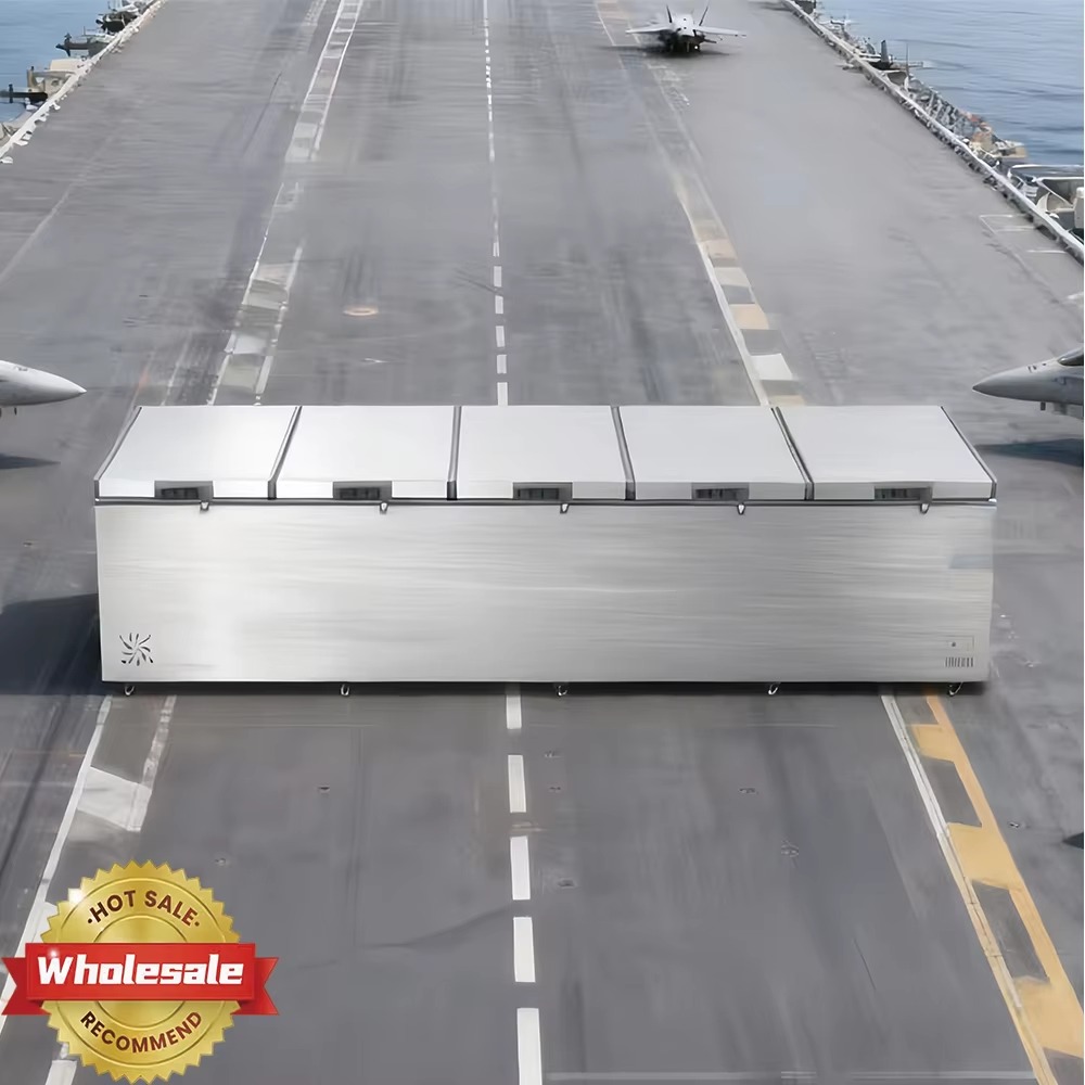 Fabrieksdirecte Horizontale Vr - Commercial Chest Freezer recensie en prijs