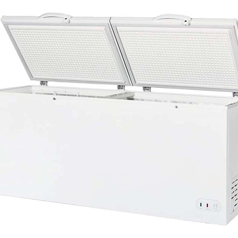 Grote capaciteit borstdiepvrie - Commercial Chest Freezer recensie en prijs