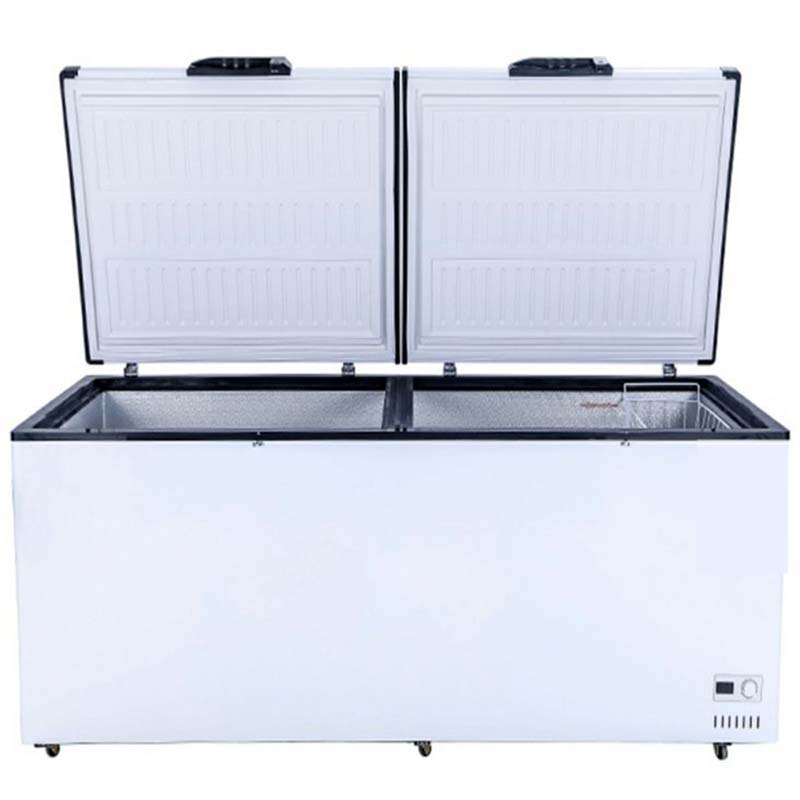 Grote capaciteit borstdiepvrie - Commercial Chest Freezer recensie en prijs