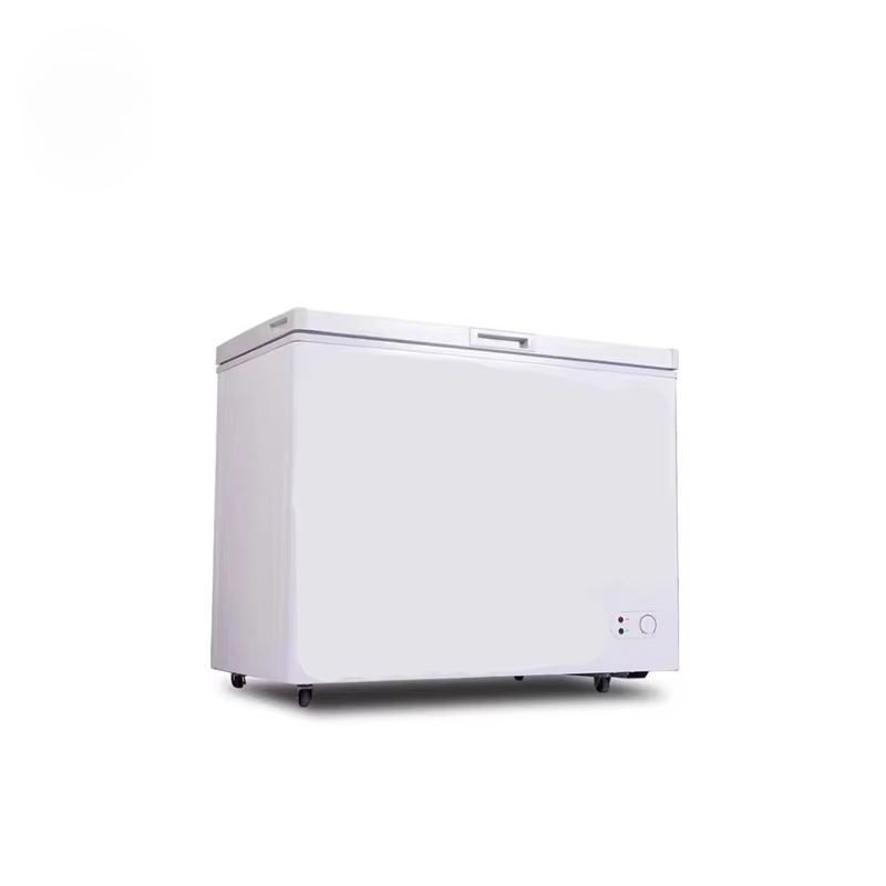 100 ~ 300 liter commerciële ho - Commercial Chest Freezer recensie en prijs